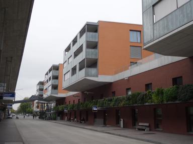 mittim_03.JPG